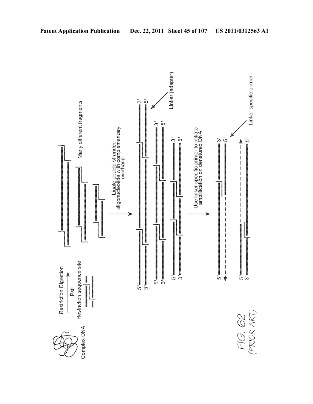 LOC DEVICE FOR DETECTING TARGET NUCLEIC ACID SEQUENCES IN A FLUID USING     HYBRIDIZATION CHAMBER ARRAY AND NEGATIVE CONTROL CHAMBER CONTAINING     ELECTROCHEMILUMINESCENT PROBE DESIGNED TO BE NON-COMPLEMENTARY TO ANY     SEQUENCE IN THE FLUID - diagram, schematic, and image 46