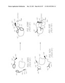 LOC DEVICE FOR DETECTING TARGET NUCLEIC ACID SEQUENCES IN A FLUID USING     HYBRIDIZATION CHAMBER ARRAY AND NEGATIVE CONTROL CHAMBER CONTAINING     ELECTROCHEMILUMINESCENT PROBE DESIGNED TO BE NON-COMPLEMENTARY TO ANY     SEQUENCE IN THE FLUID diagram and image