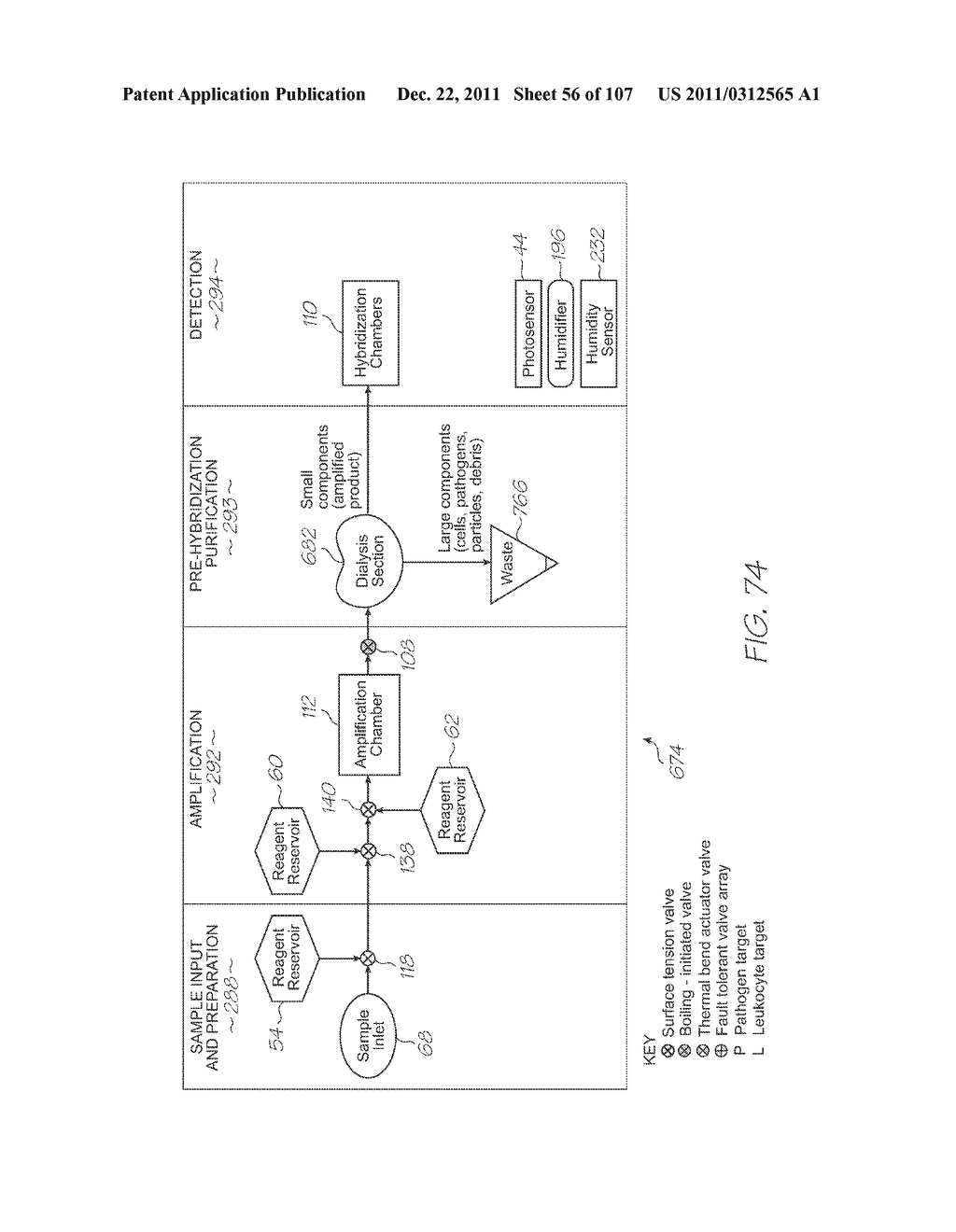 LOC DEVICE FOR DETECTING TARGET NUCLEIC ACID SEQUENCES USING HYBRIDIZATION     CHAMBER ARRAY AND NEGATIVE CONTROL CHAMBER CONTAINING PROBES WITHOUT     ELECTROCHEMILUMINESCENT REPORTER - diagram, schematic, and image 57