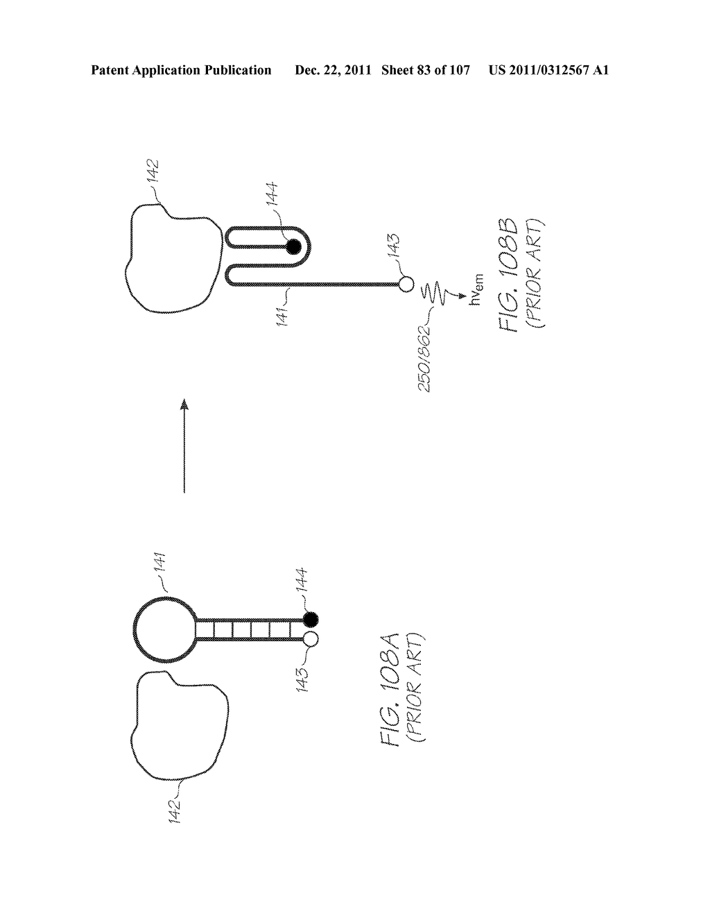 LOC DEVICE FOR ELECTROCHEMILUMINESCENT DETECTION OF TARGET NUCLEIC ACID     SEQUENCES USING HYBRIDIZATION CHAMBER ARRAY AND NEGATIVE CONTROL CHAMBER     WITHOUT PROBES - diagram, schematic, and image 84