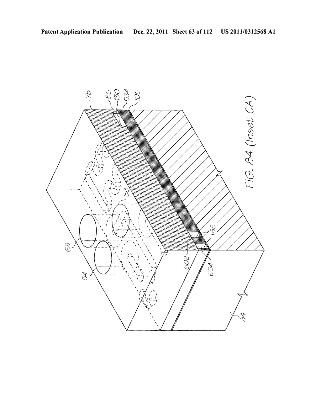 LOC DEVICE FOR GENETIC ANALYSIS WITH DIALYSIS, CHEMICAL LYSIS, INCUBATION     AND TANDEM NUCLEIC ACID AMPLIFICATION - diagram, schematic, and image 64