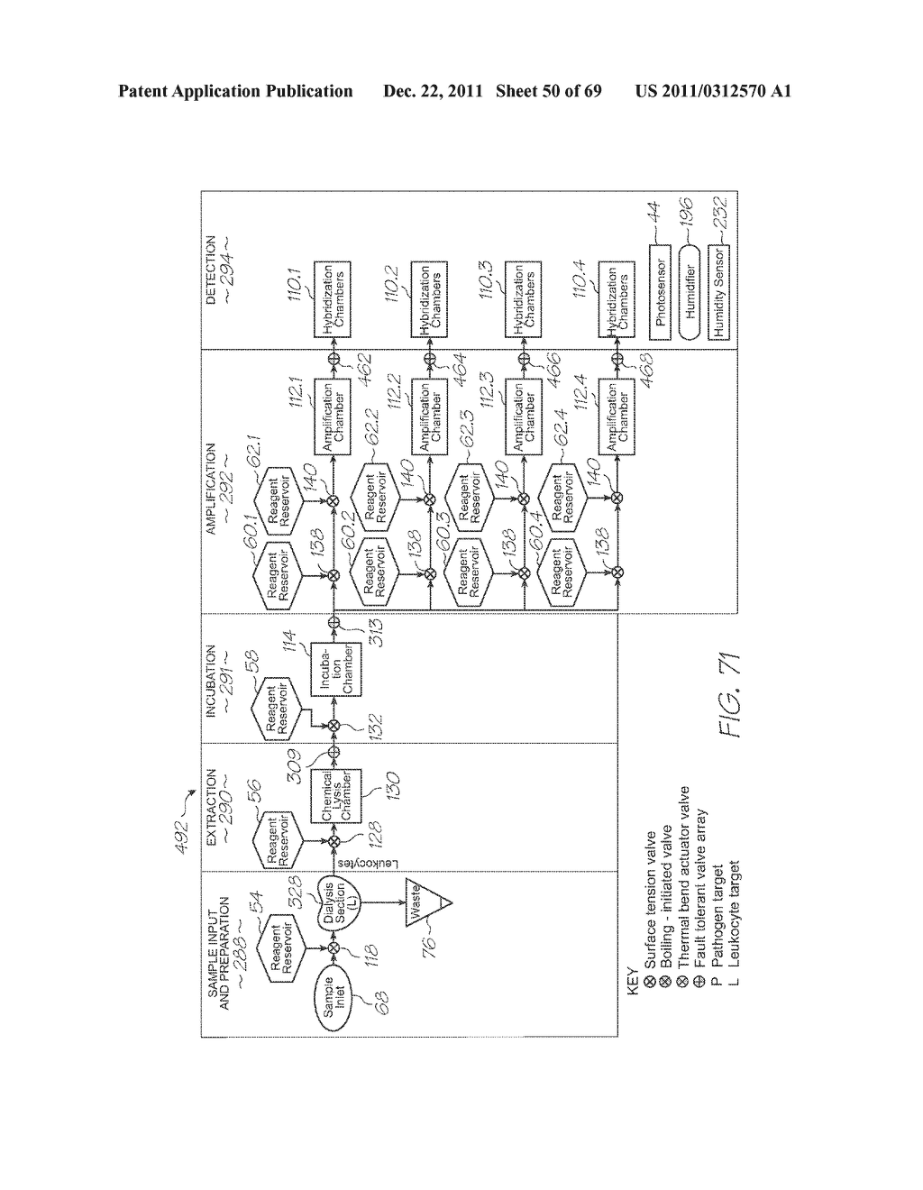 MICROFLUIDIC DEVICE FOR DETECTING TARGET NUCLEIC ACID SEQUENCES WITH     PROBES HAVING LONG FLUORESCENCE LIFETIME FLUOROPHORES - diagram, schematic, and image 51