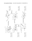 LOC DEVICE FOR GENETIC ANALYSIS WITH DIALYSIS, CHEMICAL LYSIS AND PARALLEL     NUCLEIC ACID AMPLIFICATION diagram and image