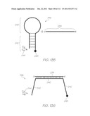 LOC DEVICE FOR GENETIC ANALYSIS WITH DIALYSIS, CHEMICAL LYSIS AND PARALLEL     NUCLEIC ACID AMPLIFICATION diagram and image