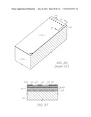 LOC DEVICE FOR GENETIC ANALYSIS WITH DIALYSIS, CHEMICAL LYSIS AND PARALLEL     NUCLEIC ACID AMPLIFICATION diagram and image