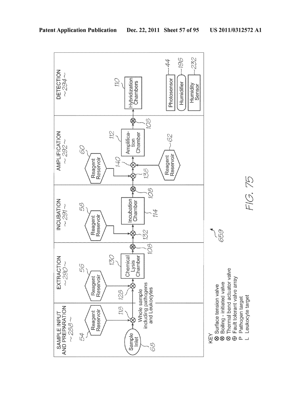 LOC DEVICE FOR PATHOGEN DETECTION AND GENETIC ANALYSIS WITH CHEMICAL     LYSIS, INCUBATION AND NUCLEIC ACID AMPLIFICATION - diagram, schematic, and image 58