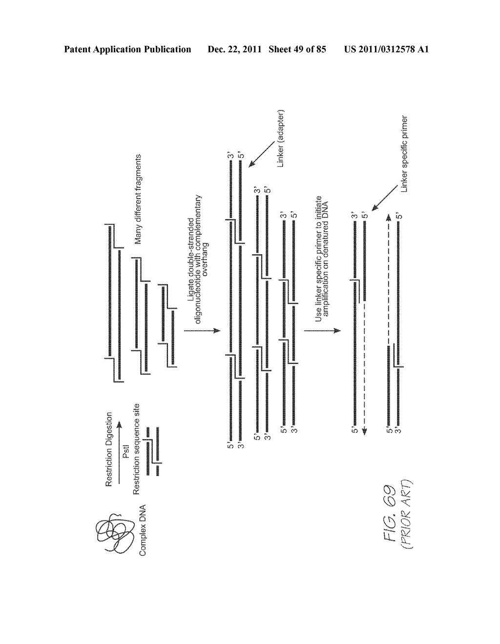 GENETIC ANALYSIS LOC FOR NON-SPECIFIC NUCLEIC ACID AMPLIFICATION PRIOR TO     SPECIFIC AMPLIFICATION OF PARTICULAR SEQUENCES - diagram, schematic, and image 50