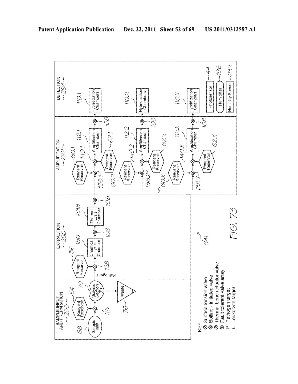 LOC FOR DETECTION OF HYBRIDIZATION OF NUCLEIC ACID SEQUENCES WITH     PRIMER-LINKED STEM-AND-LOOP PROBES - diagram, schematic, and image 53