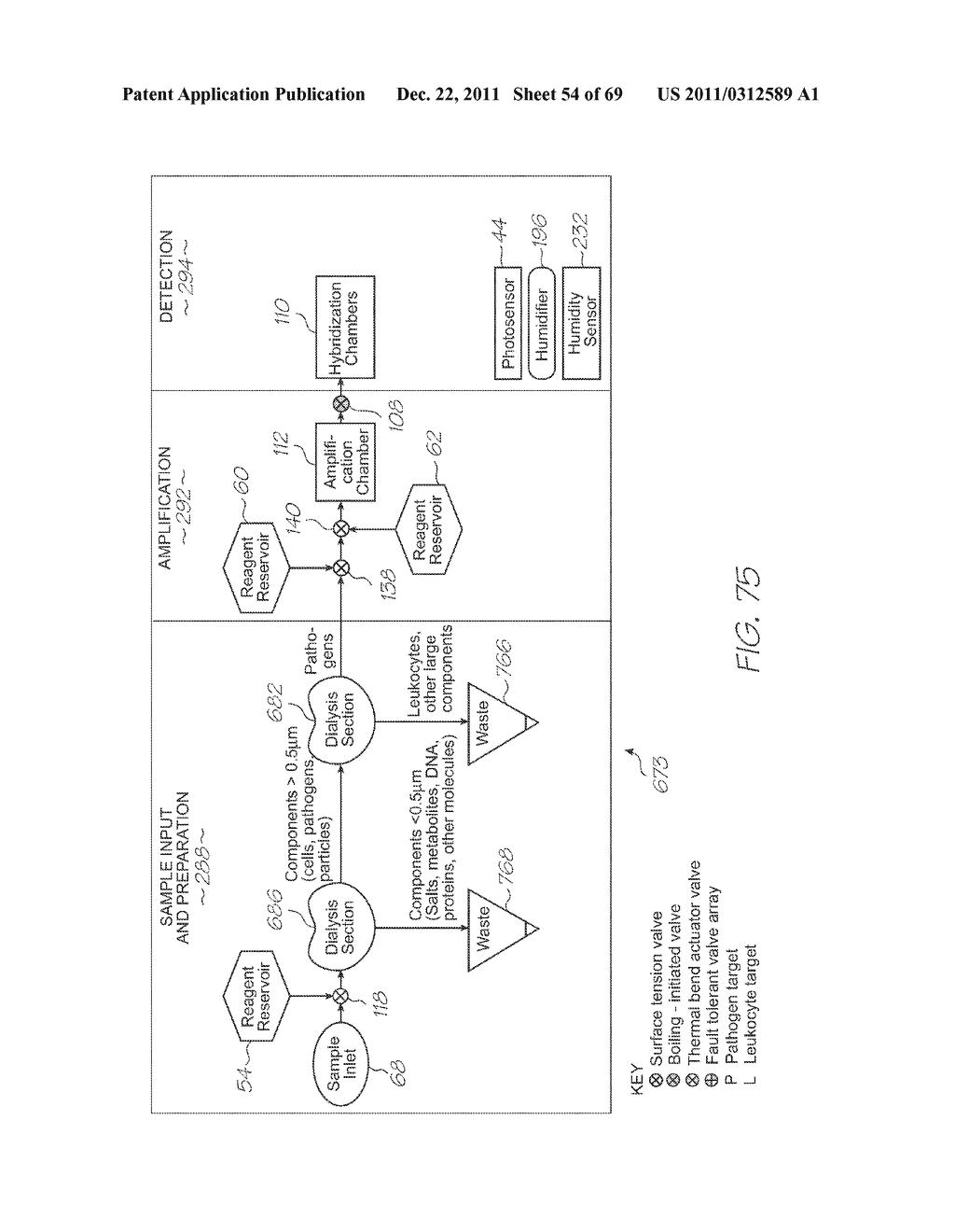 GENETIC TEST MODULE WITH LOW OLIGONUCLEOTIDE PROBE MASS AND REAGENT     VOLUMES - diagram, schematic, and image 55