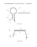 GENETIC TEST MODULE WITH LOW OLIGONUCLEOTIDE PROBE MASS AND REAGENT     VOLUMES diagram and image