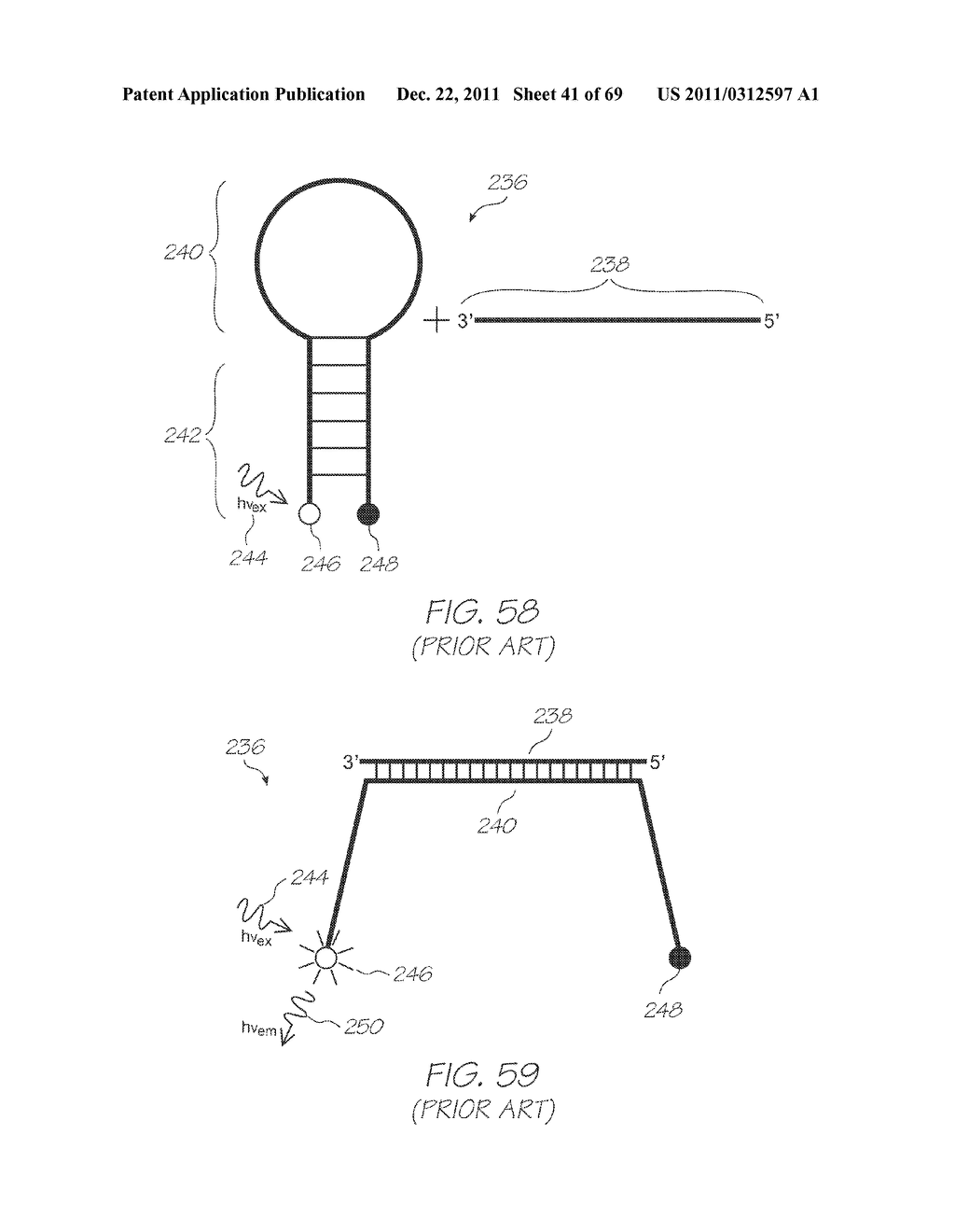 GENETIC ANALYSIS LOC WITH HYBRIDIZATION ARRAY WITH POSITIVE CONTROL     CHAMBERS INCORPORATING PROBES WITH NO QUENCHERS - diagram, schematic, and image 42