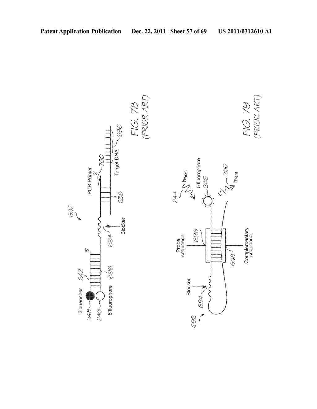 TEST MODULE WITH LONG FLUORESCENCE LIFETIME PROBES - diagram, schematic, and image 58