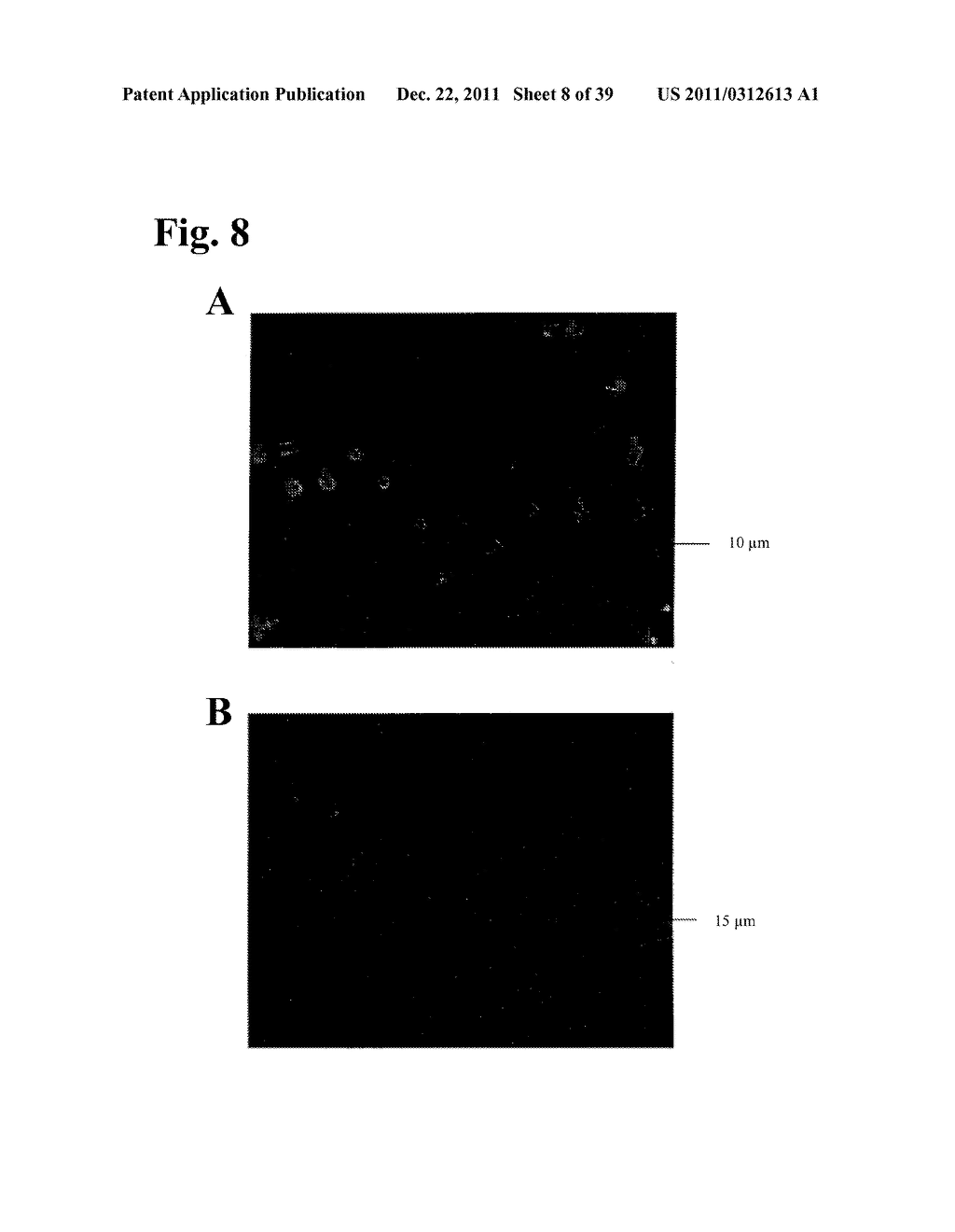 CARRIERS FOR COMBINATORIAL COMPOUND LIBRARIES - diagram, schematic, and image 09