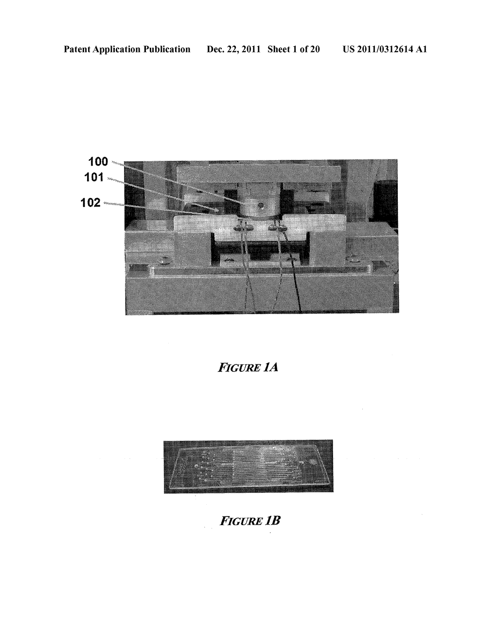 METHODS FOR RAPID MULTIPLEXED AMPLIFICATION OF TARGET NUCLEIC ACIDS - diagram, schematic, and image 02