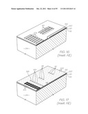 MICROFLUIDIC DEVICE WITH PARALLEL NUCLEIC ACID AMPLIFICATION SECTION diagram and image