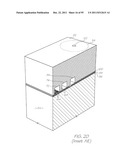 MICROFLUIDIC DEVICE WITH PARALLEL NUCLEIC ACID AMPLIFICATION SECTION diagram and image