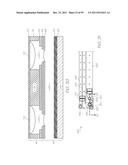 MICROFLUIDIC DEVICE WITH PARALLEL NUCLEIC ACID AMPLIFICATION SECTION diagram and image