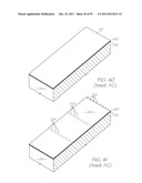 MICROFLUIDIC DEVICE WITH PARALLEL NUCLEIC ACID AMPLIFICATION SECTION diagram and image