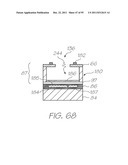 MICROFLUIDIC DEVICE WITH PARALLEL NUCLEIC ACID AMPLIFICATION SECTION diagram and image