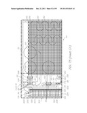 MICROFLUIDIC DEVICE WITH PARALLEL NUCLEIC ACID AMPLIFICATION SECTION diagram and image