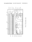 MICROFLUIDIC DEVICE WITH PARALLEL NUCLEIC ACID AMPLIFICATION SECTION diagram and image