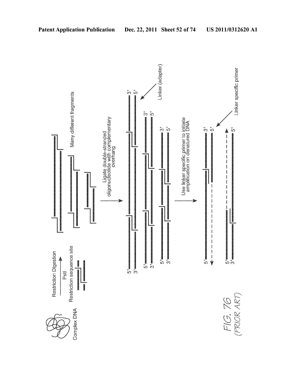 SYSTEM FOR VARIABLE MICROARRAY SPOTTING AND GENETIC ANALYSIS - diagram, schematic, and image 53