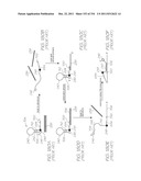 MICROFLUIDIC DEVICE WITH LOW-VOLUME HYBRIDIZATION CHAMBERS FOR     ELECTROCHEMILUMINESCENT DETECTION OF TARGET SEQUENCES diagram and image