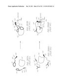 MICROFLUIDIC DEVICE WITH LOW-VOLUME HYBRIDIZATION CHAMBERS FOR     ELECTROCHEMILUMINESCENT DETECTION OF TARGET SEQUENCES diagram and image