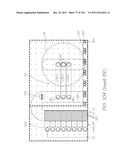 MICROFLUIDIC DEVICE WITH LOW-VOLUME HYBRIDIZATION CHAMBERS FOR     ELECTROCHEMILUMINESCENT DETECTION OF TARGET SEQUENCES diagram and image