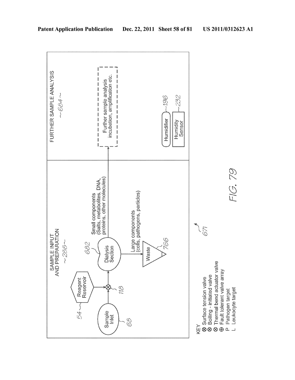 LOC DEVICE FOR PATHOGEN DETECTION WITH DIALYSIS, THERMAL LYSIS, NUCLEIC     ACID AMPLIFICATION AND PREHYBRIDIZATION FILTERING - diagram, schematic, and image 59