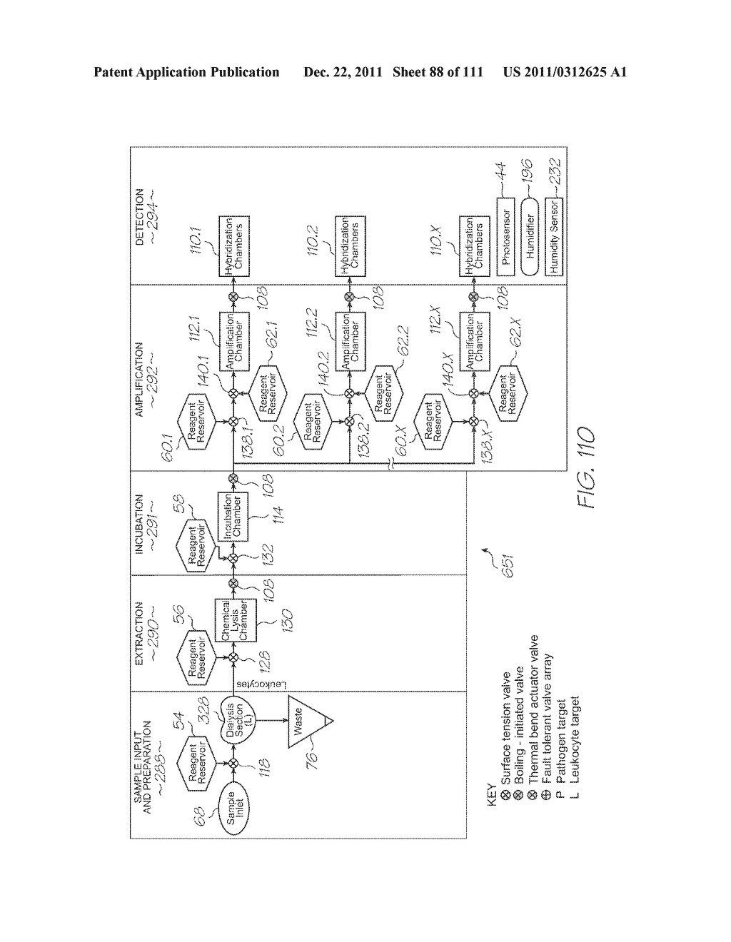 LOC DEVICE FOR GENETIC ANALYSIS WITH DIALYSIS, CHEMICAL LYSIS AND TANDEM     NUCLEIC ACID AMPLIFICATION - diagram, schematic, and image 89