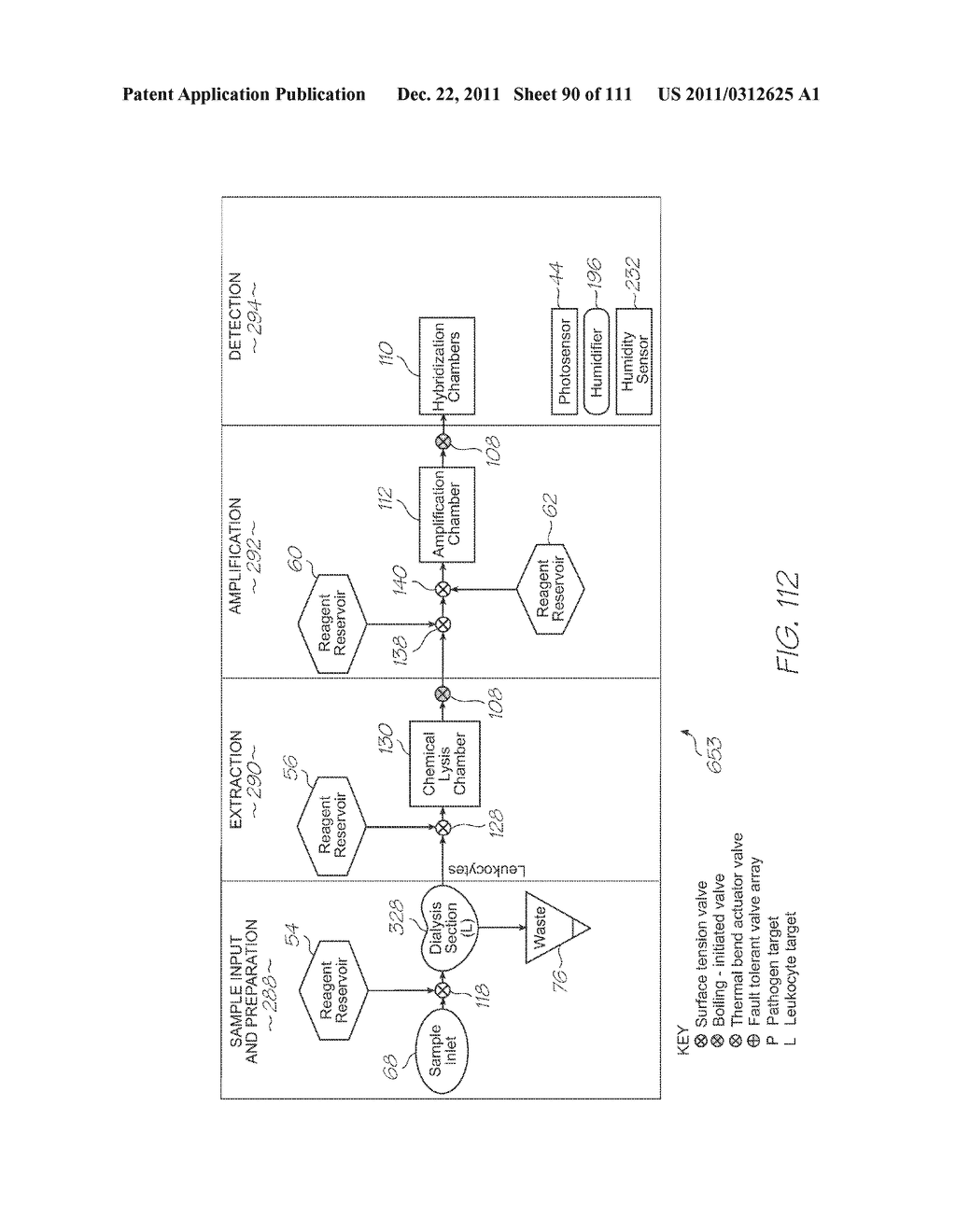 LOC DEVICE FOR GENETIC ANALYSIS WITH DIALYSIS, CHEMICAL LYSIS AND TANDEM     NUCLEIC ACID AMPLIFICATION - diagram, schematic, and image 91