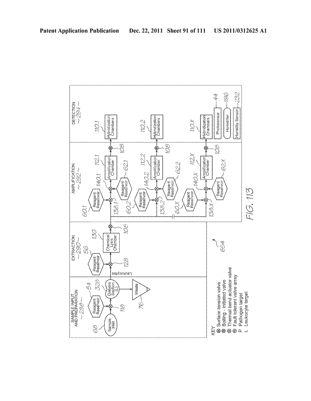 LOC DEVICE FOR GENETIC ANALYSIS WITH DIALYSIS, CHEMICAL LYSIS AND TANDEM     NUCLEIC ACID AMPLIFICATION - diagram, schematic, and image 92