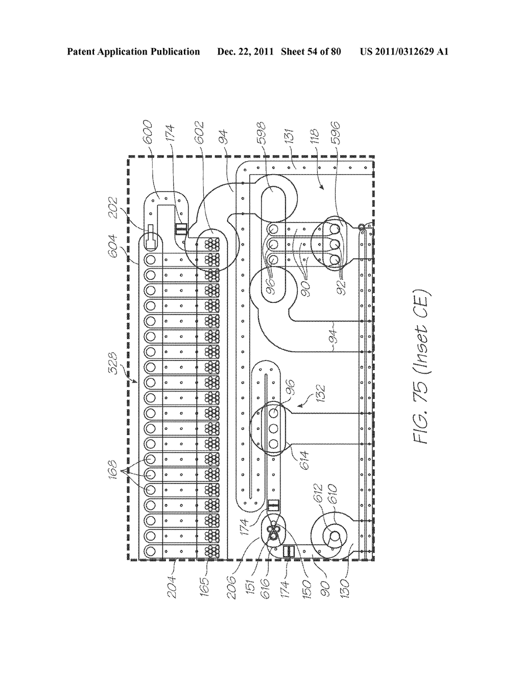 MICROFLUIDIC DEVICE WITH DIALYSIS SECTION HAVING STOMATA TAPERING COUNTER     TO FLOW DIRECTION - diagram, schematic, and image 55