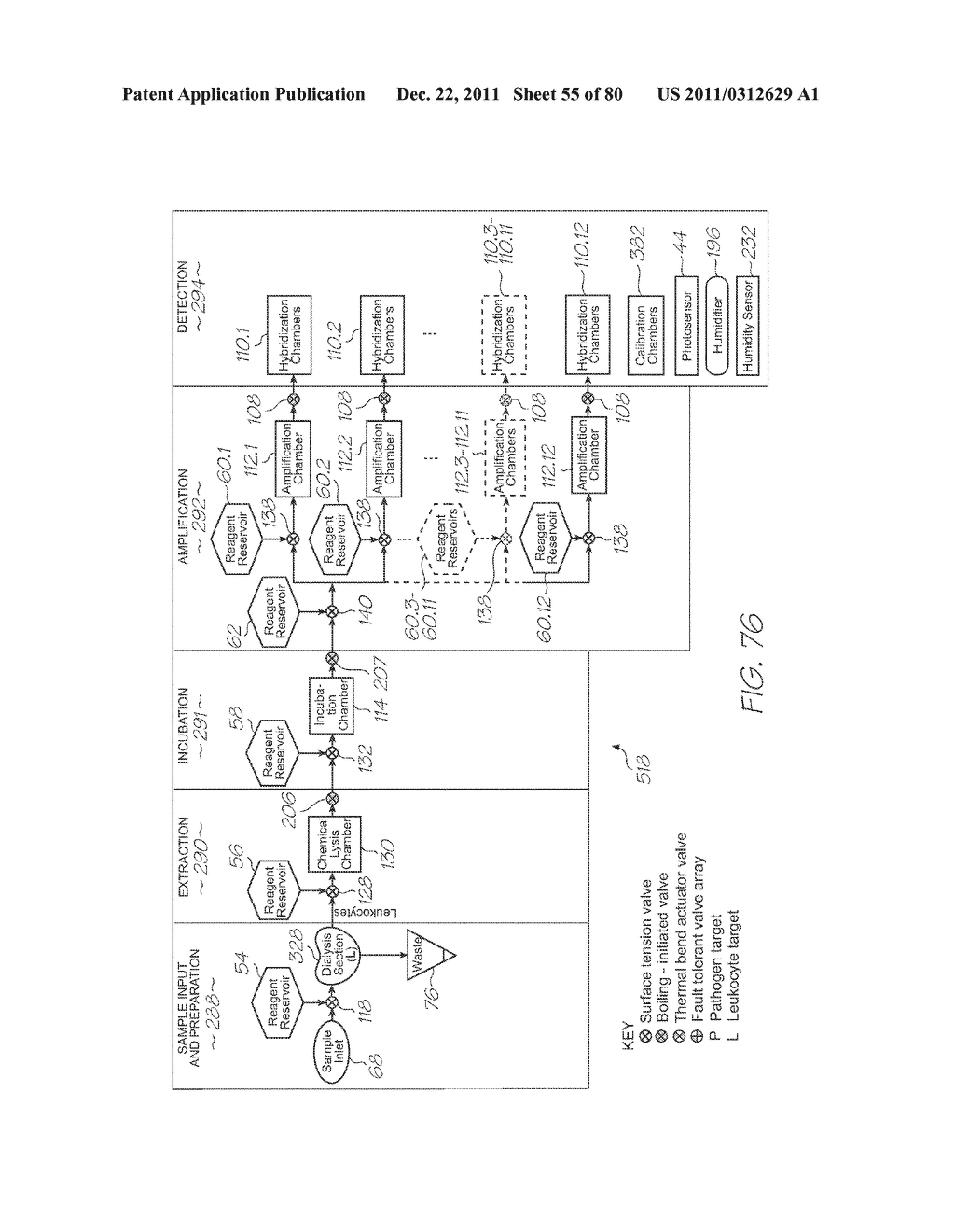 MICROFLUIDIC DEVICE WITH DIALYSIS SECTION HAVING STOMATA TAPERING COUNTER     TO FLOW DIRECTION - diagram, schematic, and image 56