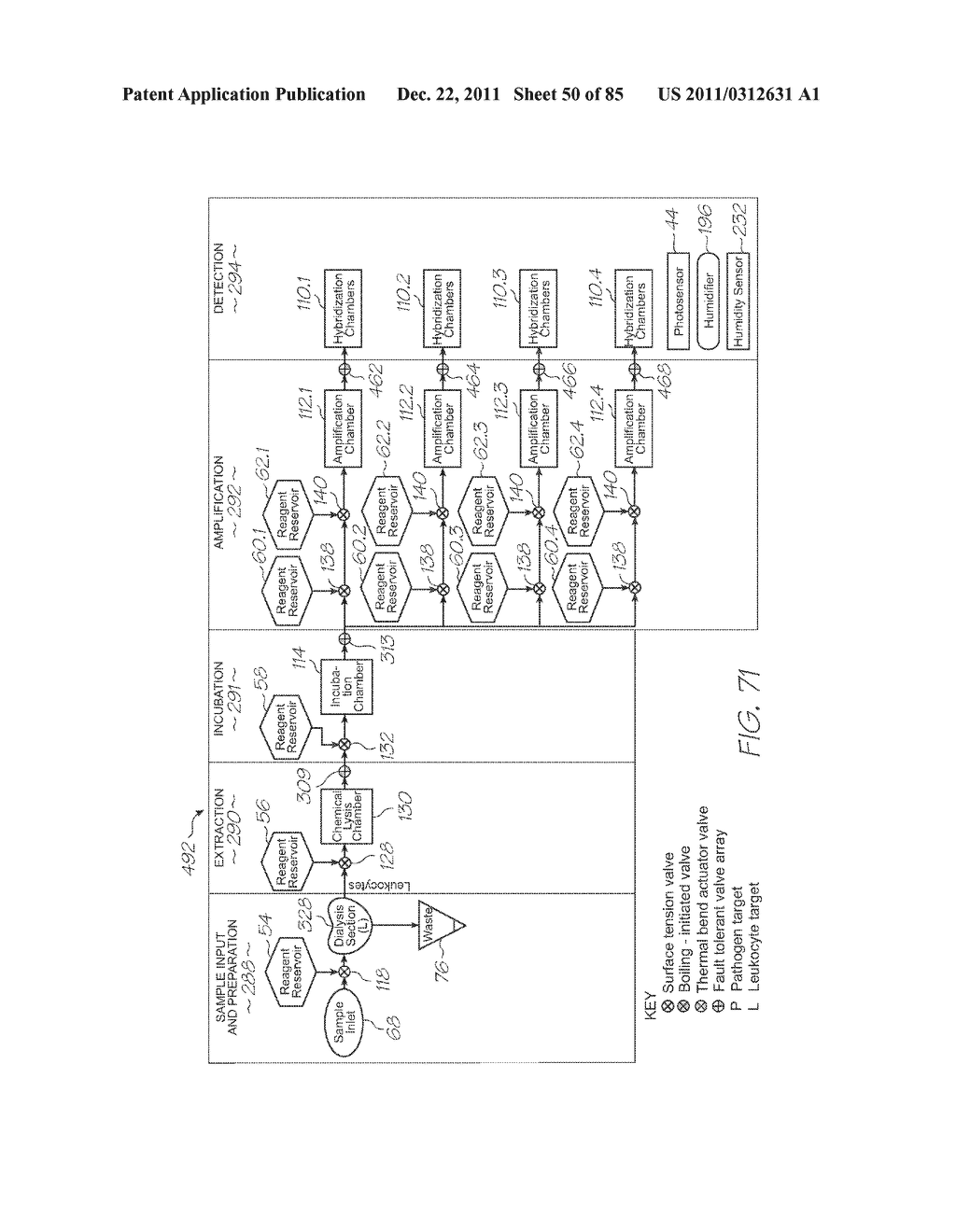 GENETIC ANALYSIS LOC WITH NON-SPECIFIC NUCLEIC ACID AMPLIFICATION SECTION     AND SUBSEQUENT SPECIFIC AMPLIFICATION OF PARTICULAR SEQUENCES IN A     SEPARATE SECTION - diagram, schematic, and image 51