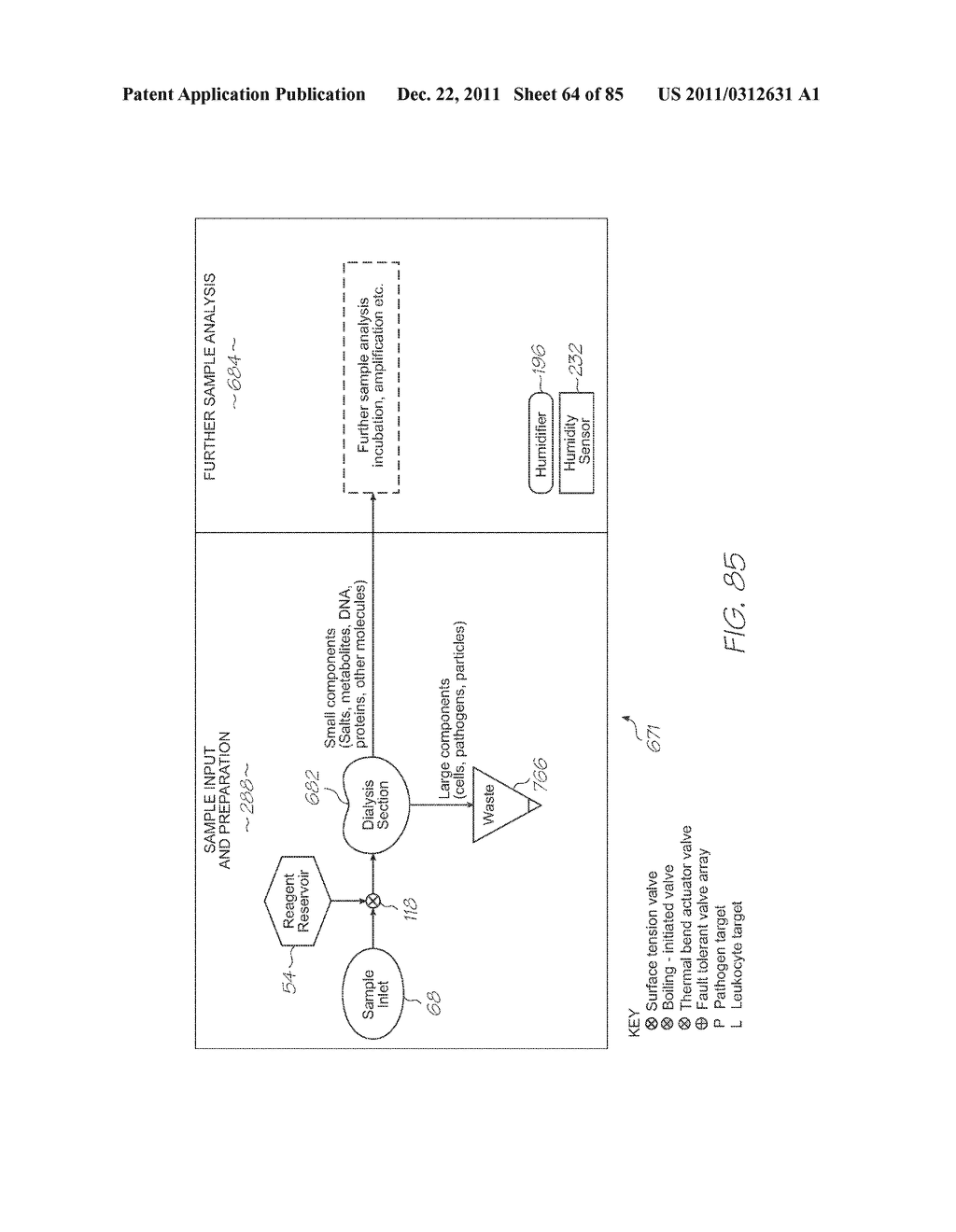 GENETIC ANALYSIS LOC WITH NON-SPECIFIC NUCLEIC ACID AMPLIFICATION SECTION     AND SUBSEQUENT SPECIFIC AMPLIFICATION OF PARTICULAR SEQUENCES IN A     SEPARATE SECTION - diagram, schematic, and image 65