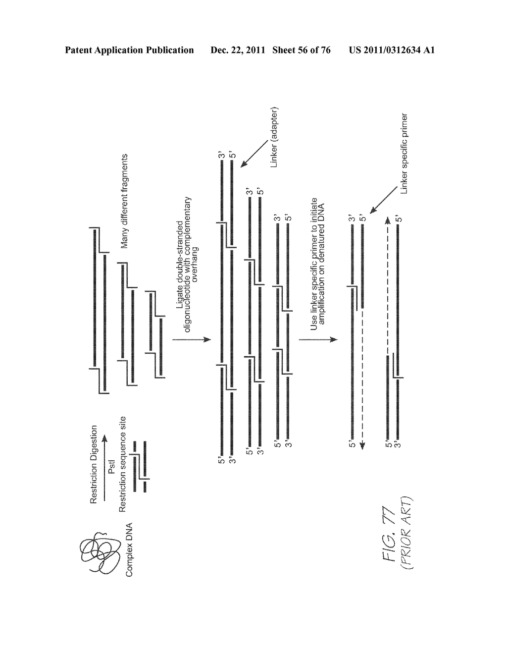 MICROFLUIDIC DEVICE WITH LAMINAR STRUCTURE - diagram, schematic, and image 57