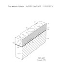 LOC DEVICE WITH DIALYSIS SECTION FOR SEPARATING PATHOGENS FROM A     BIOLOGICAL SAMPLE diagram and image