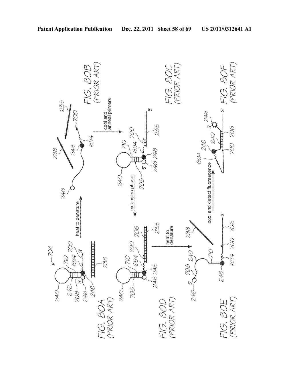 MICROFLUIDIC DEVICE WITH SAMPLE INLET AND PROBE HYBRIDIZATION SECTION - diagram, schematic, and image 59