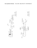 MICROFLUIDIC DEVICE FOR DETECTION OF NUCLEIC ACID TARGETS WITH     ELECTROCHEMILUMINESCENT PROBES diagram and image