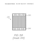 MICROFLUIDIC DEVICE FOR DETECTION OF NUCLEIC ACID TARGETS WITH     ELECTROCHEMILUMINESCENT PROBES diagram and image