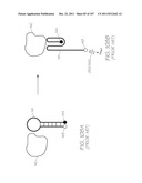 MICROFLUIDIC DEVICE FOR DETECTION OF NUCLEIC ACID TARGETS WITH     ELECTROCHEMILUMINESCENT PROBES diagram and image