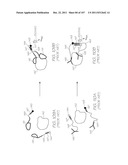 MICROFLUIDIC DEVICE FOR DETECTION OF NUCLEIC ACID TARGETS WITH     ELECTROCHEMILUMINESCENT PROBES diagram and image