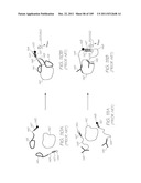 MICROFLUIDIC DEVICE FOR GENETIC AND MITOCHONDRIAL ANALYSIS OF A BIOLOGICAL     SAMPLE diagram and image