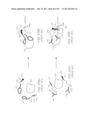 MICROFLUIDIC DEVICE WITH LOW-VOLUME ELECTROCHEMILUMINESCENCE-BASED PROBE     SPOTS diagram and image