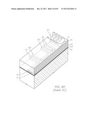 MICROFLUIDIC DEVICE FOR PCR AND PROBE HYBRIDIZATION diagram and image