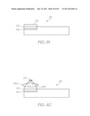 MICROFLUIDIC DEVICE FOR PCR AND PROBE HYBRIDIZATION diagram and image