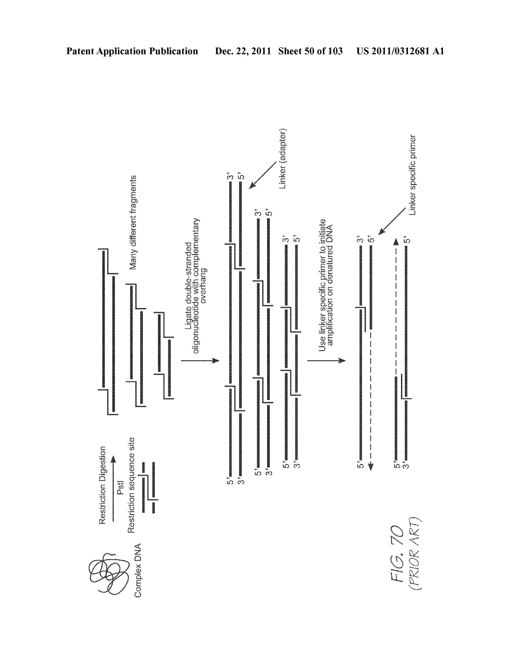 LOC DEVICE WITH DIALYSIS SECTION FOR REMOVING ERYTHROCYTES FROM BLOOD - diagram, schematic, and image 51