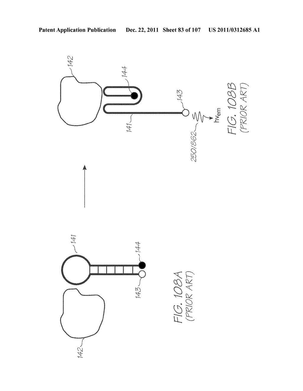 LOC DEVICE FOR PCR USING ADAPTOR PRIMERS AND TARGET DETECTION USING     ELECTROCHEMILUMINESCENT RESONANT ENERGY TRANSFER PROBES - diagram, schematic, and image 84